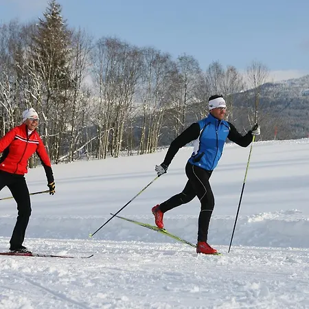 Luxus-appartements Fosensteiner Ramsau am Dachstein