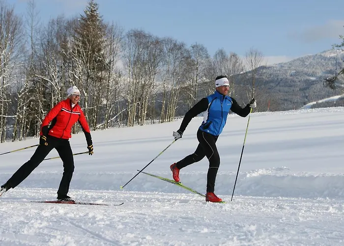 Luxus-appartements Fosensteiner Ramsau am Dachstein