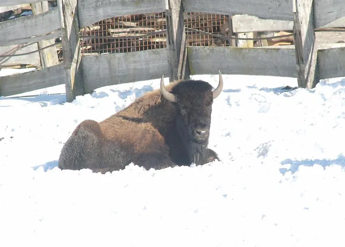 Luxus-appartements Fosensteiner *