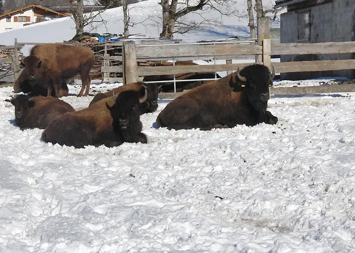 Luxus-appartements Fosensteiner